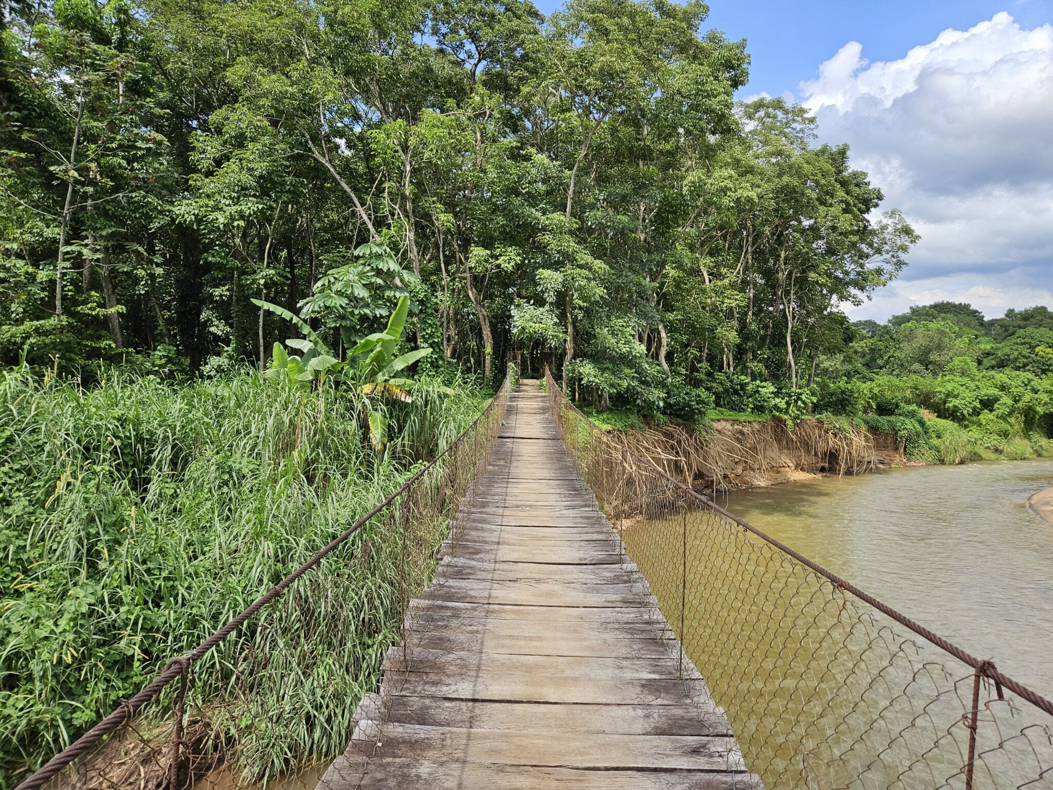 Well Enough Healing Waters